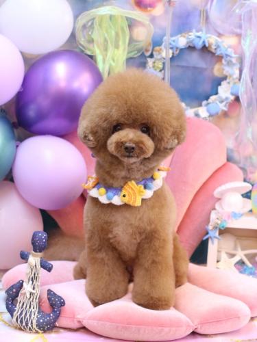 20240829こじろうくん